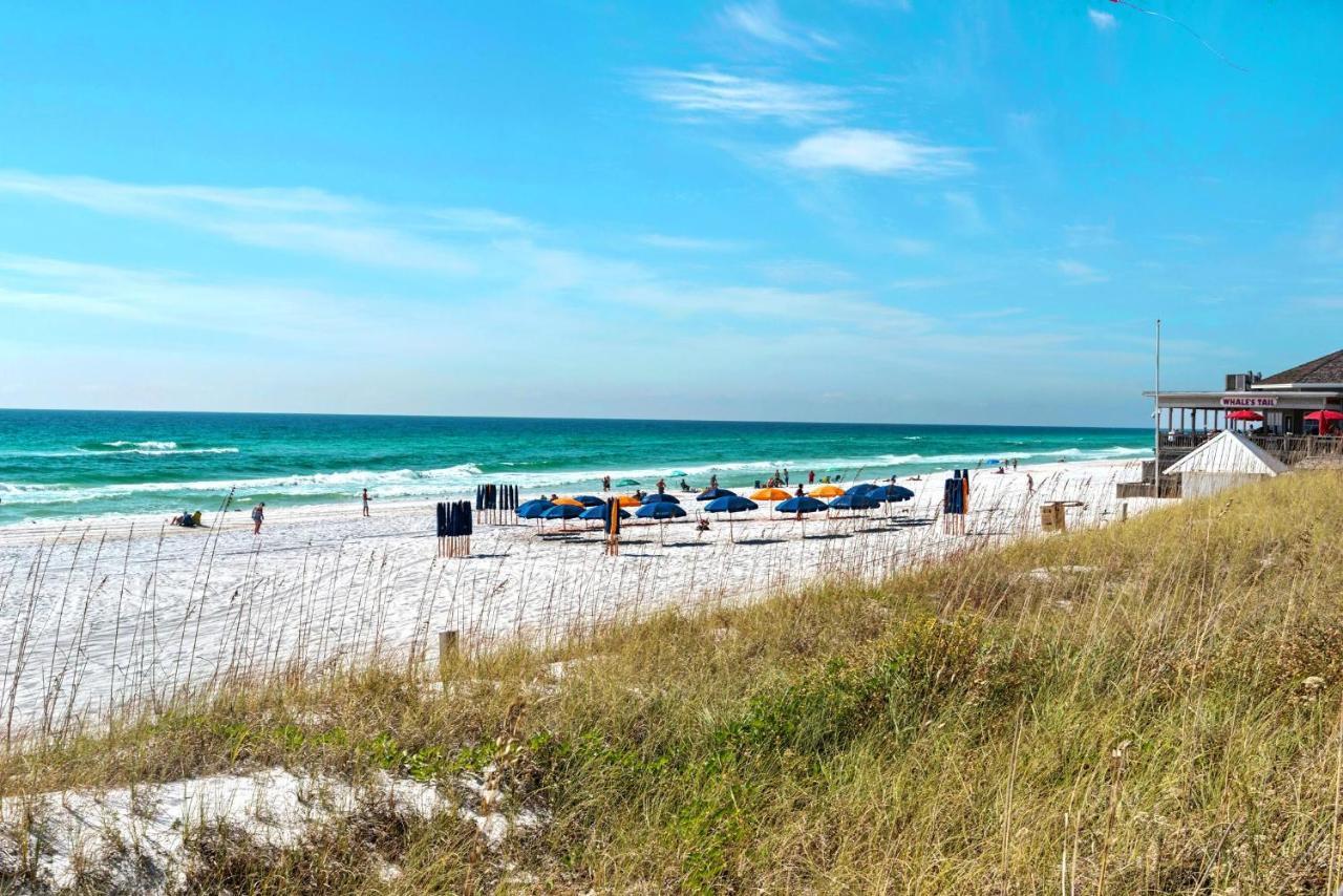 Ariel Dunes II 1908 Destin Luaran gambar